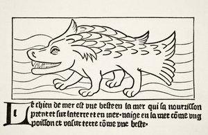 Havhunden, fra "Science and Literature in the Middle Ages" af Paul Lacroix (1806-84) udgivet i London 1878 af French School